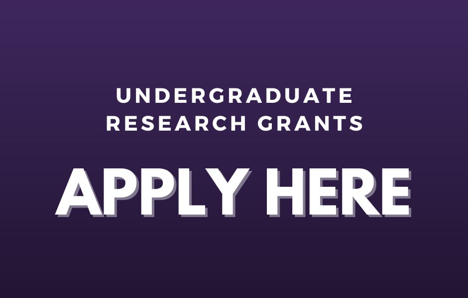 Apply